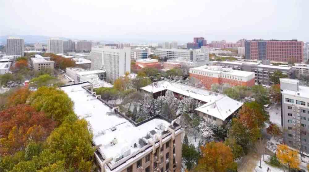 今日立冬 | 北林初雪和冬天一起来了!_北京林业大学