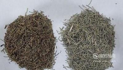 麻黄的功效与作用是什么麻黄的功效与作用点