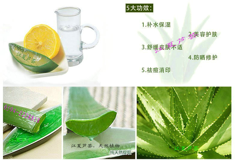芦荟鲜汁的功效与作用生芦荟擦脸的正确方法