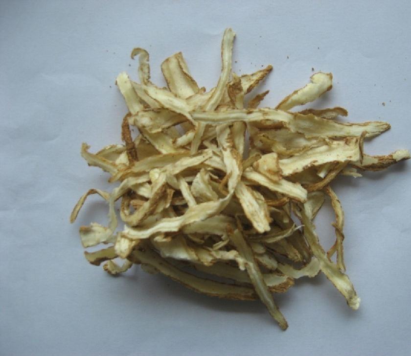 知母的功效与作用及禁忌知母的功效与作用禁忌与副作用有哪些