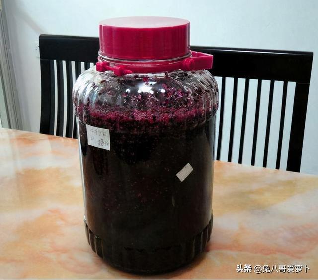 桑椹子酒的功效与作用桑椹子的功效与作用吃法