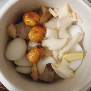 海底椰功效与作用海底椰功效与作用禁忌
