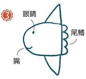 海里的翻车鱼简笔画图片大全画法步骤详解动物简笔画