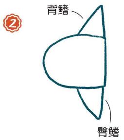 海里的翻车鱼简笔画图片大全画法步骤详解动物简笔画