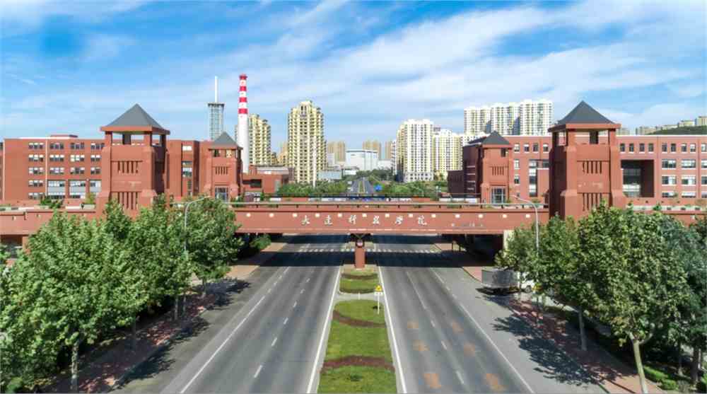 大连科技学院2022年师资招聘计划