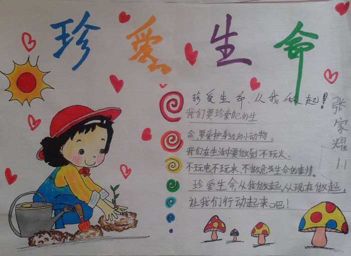 简单的珍爱生命手抄报图片_生命可贵_手抄报模板大全_零二七艺考