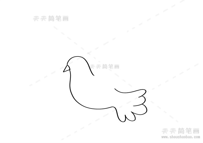 简笔画如何画和平鸽简笔画和平鸽简笔画步骤教程