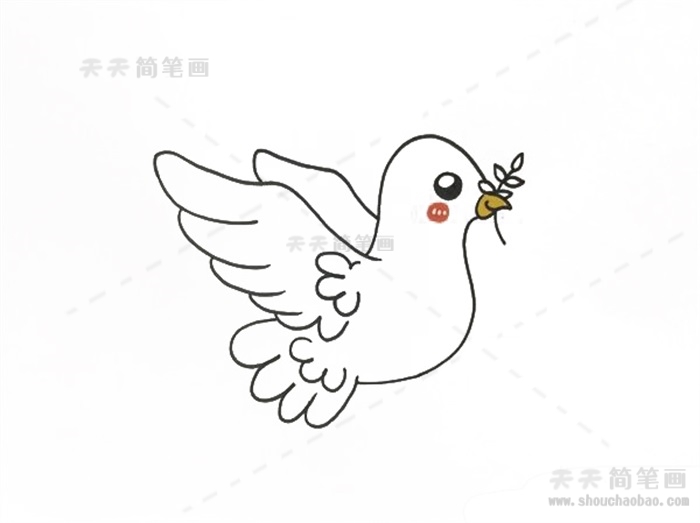 简笔画简单实用的和平鸽简笔画教程和平鸽简笔画步骤彩色