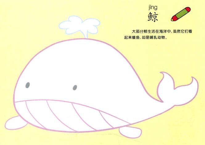 鲸鱼儿童画画法步骤儿童绘画作品