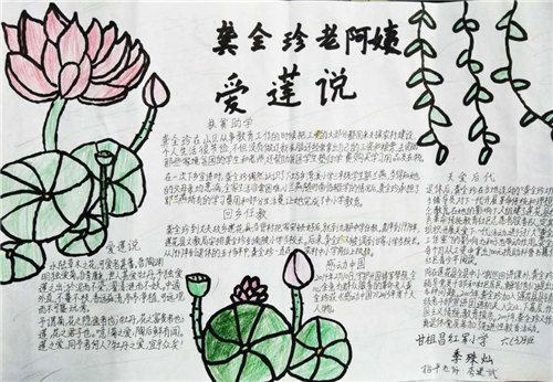 荷花手抄报初中生精美8张
