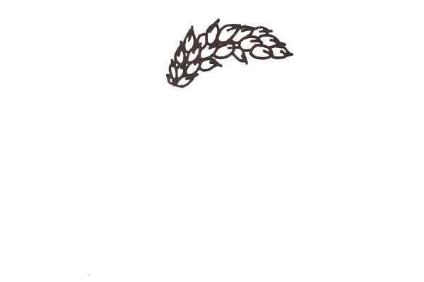 水稻简笔画农作物简笔画
