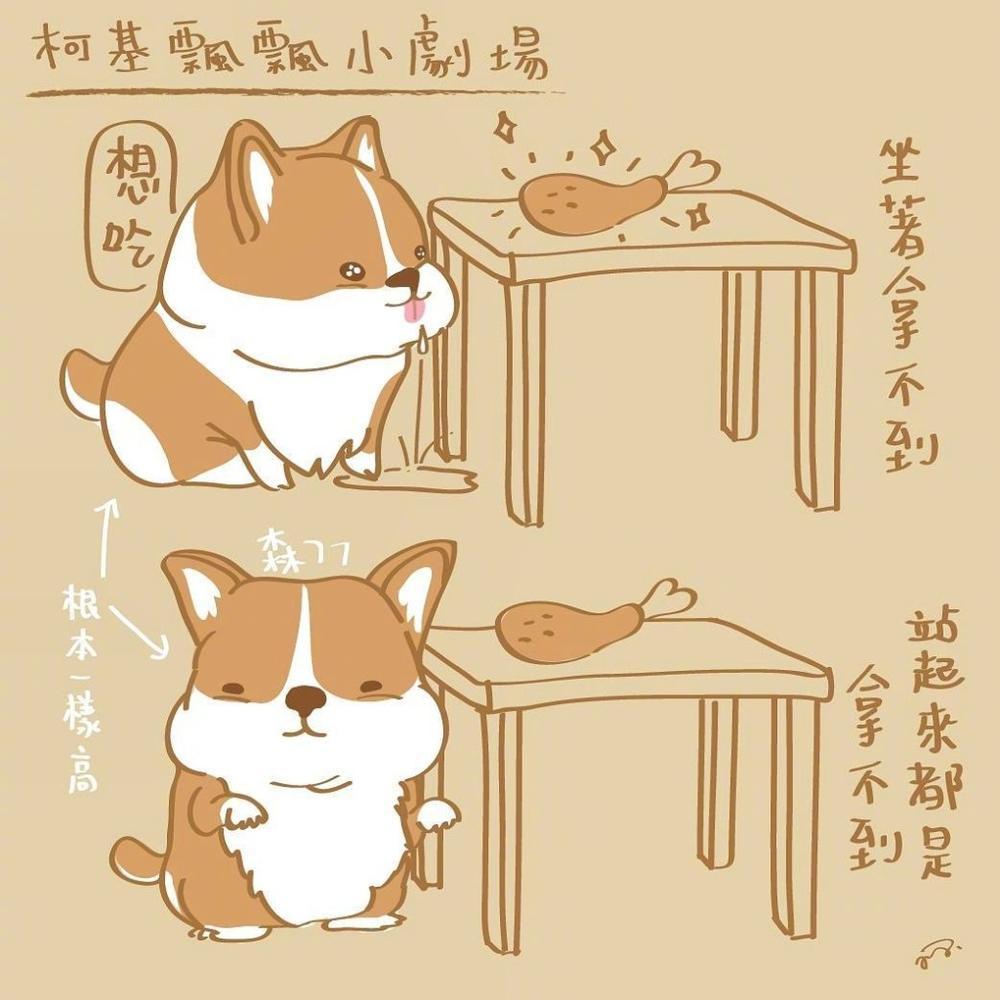 插画简笔画柯基飘飘插画简笔画