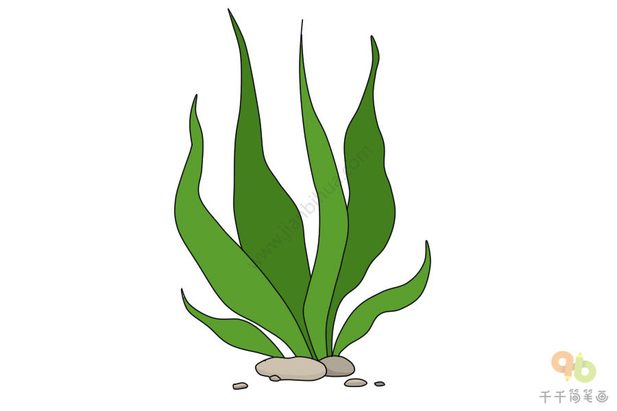 条状海草简笔画绿色植物简笔画