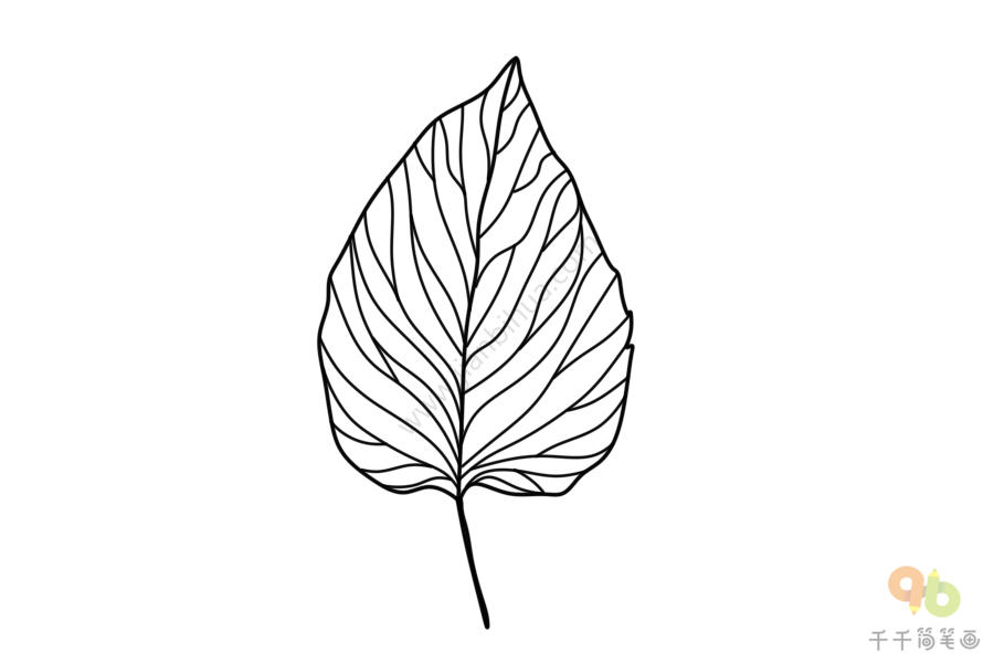 树叶标本简笔画树叶简笔画