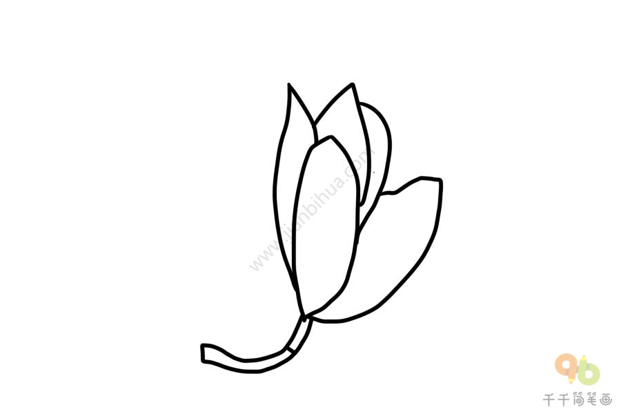 娇艳的木兰花简笔画花朵简笔画