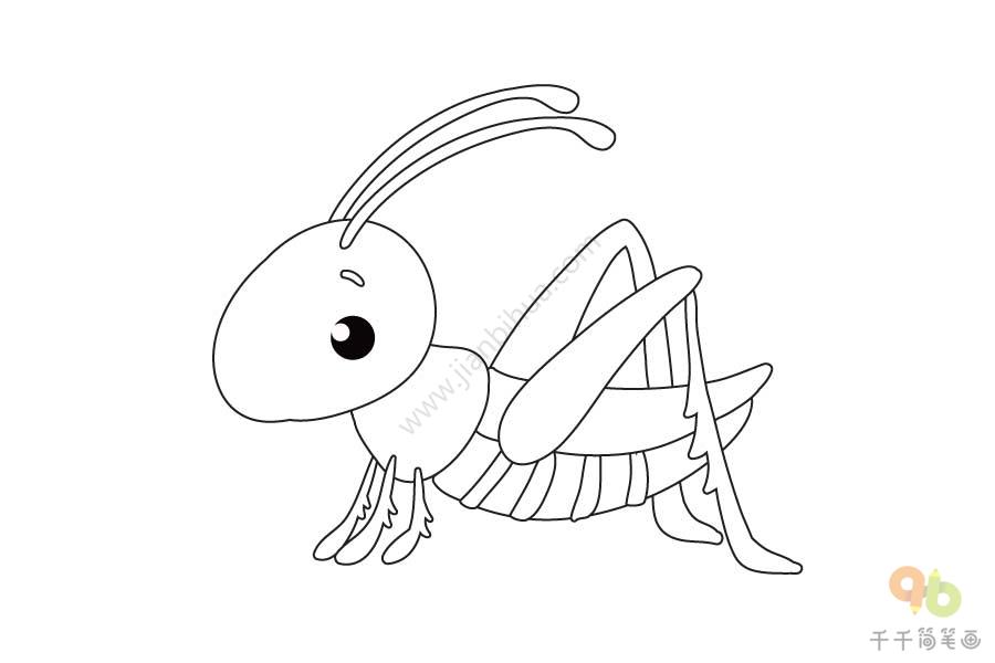 蚂蚱简笔画图片昆虫简笔画