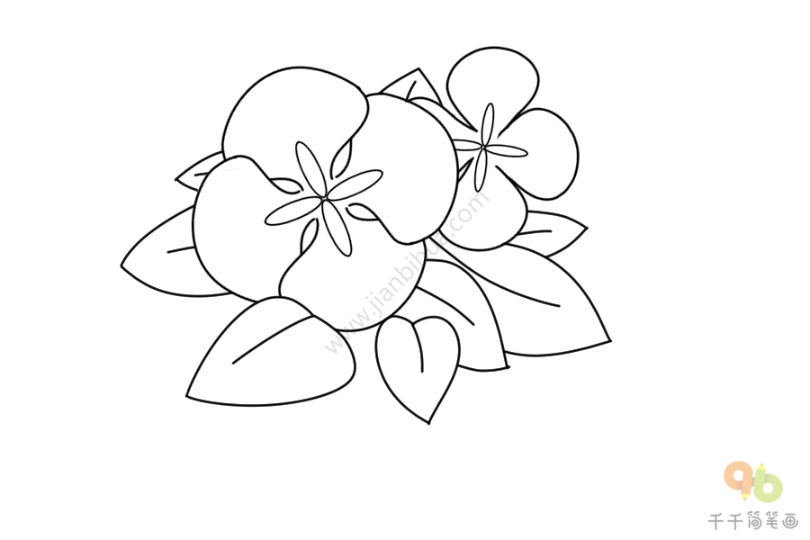 非洲紫罗兰简笔画画法盆栽简笔画