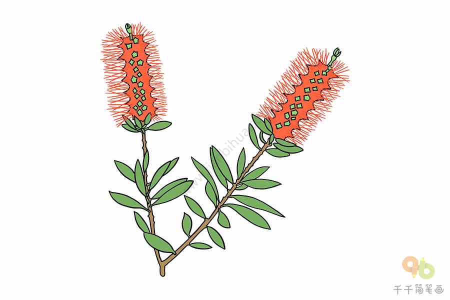 红千层简笔画 简单好画_花朵简笔画_简笔画_零二七艺考