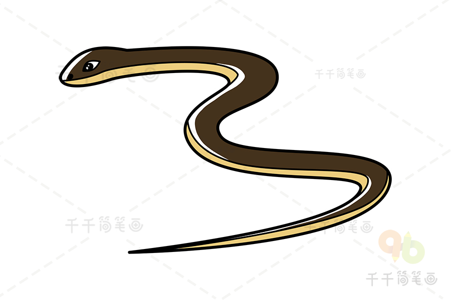 长吻海蛇简笔画海洋动物简笔画