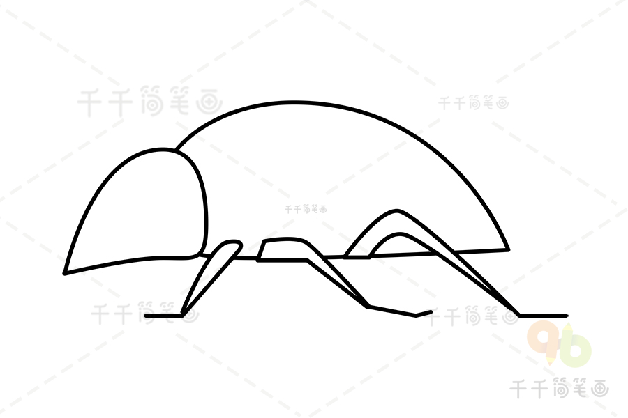埋葬虫简笔画昆虫简笔画