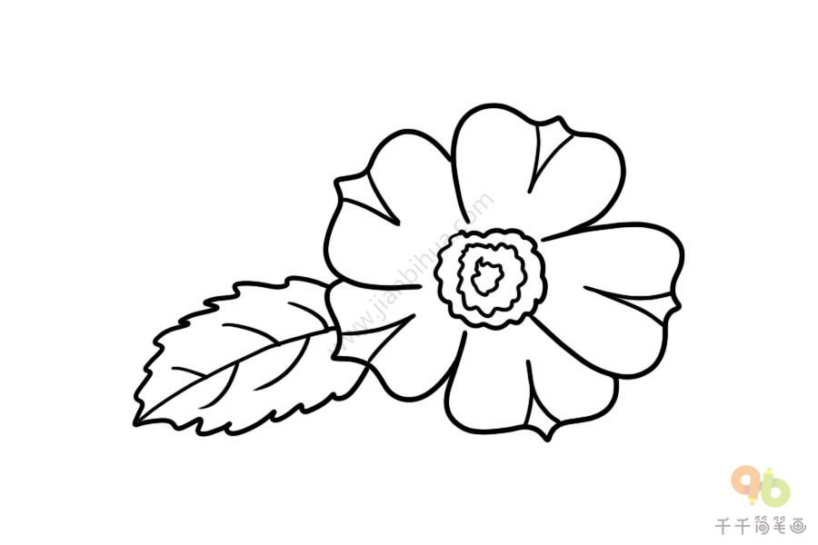 第一步:画出茉莉花的花朵轮廓