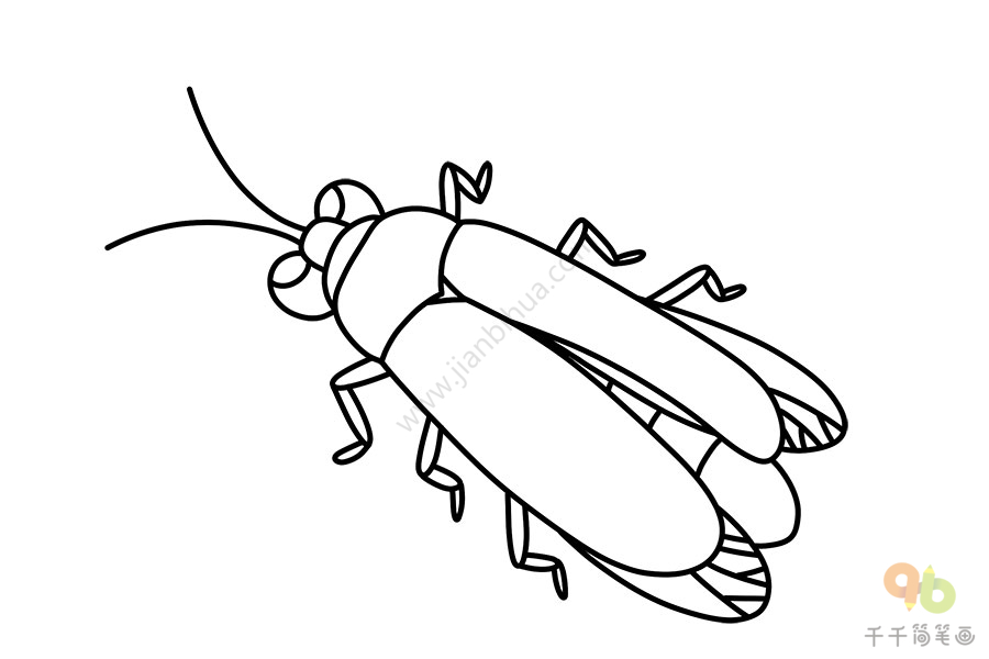 萤火虫简笔画简单昆虫简笔画