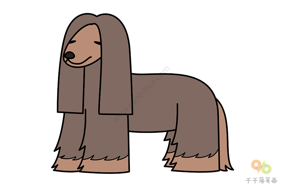 教你画阿富汗猎犬简笔画狗简笔画