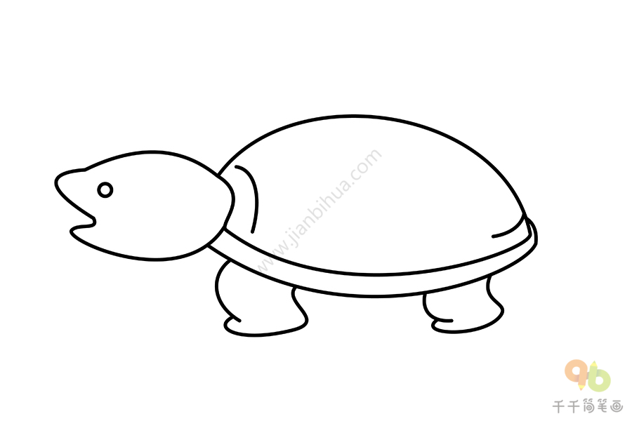 鳄龟简笔画教程海洋动物简笔画