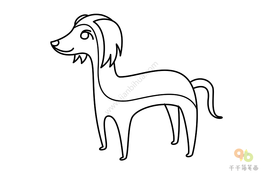 萨路基猎犬简笔画教程狗简笔画
