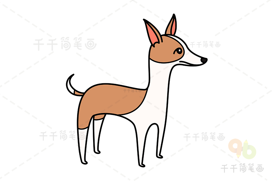 伊比赞猎犬简笔画狗简笔画