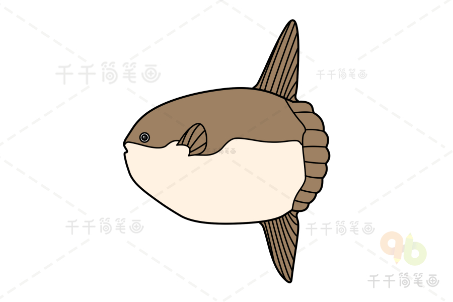翻车鱼简笔画教程鱼简笔画