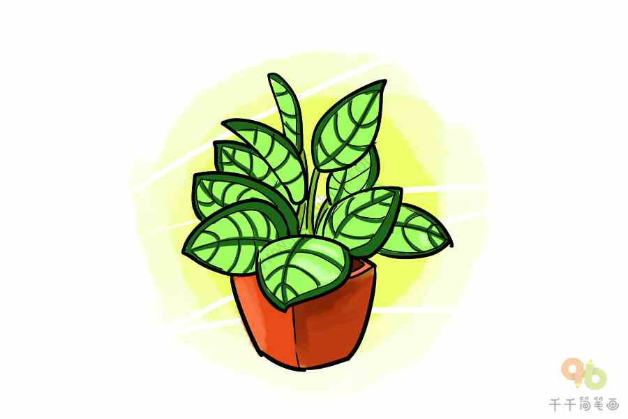 竹芋简笔画如何画盆栽简笔画
