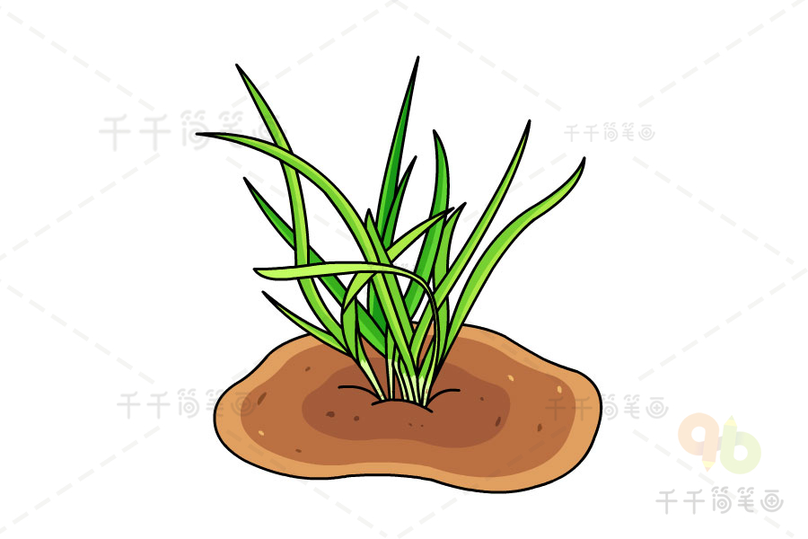 韭菜简笔画图解农作物简笔画