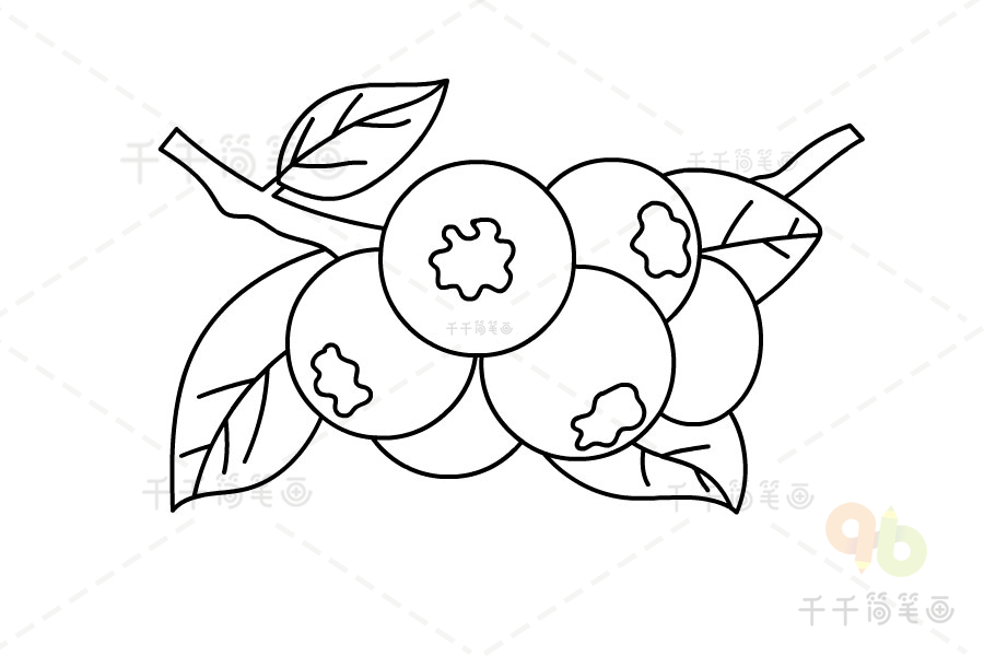 蓝莓简笔画简单农作物简笔画