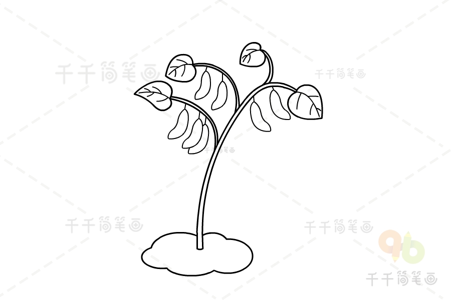 毛豆简笔画图片农作物简笔画