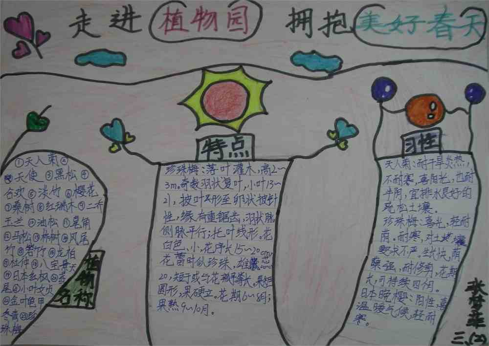 走进植物园拥抱美好春天手抄报大全