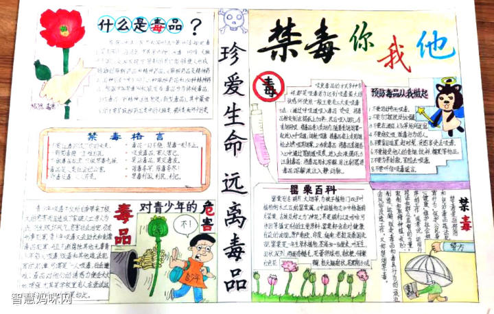 手抄报作品小学生简单禁毒手抄报绘画5张