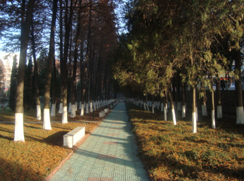 信阳师范学院校园风光06