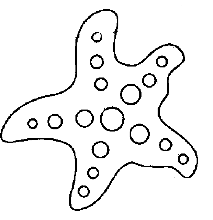 海洋生物简笔画:小海星睡着了