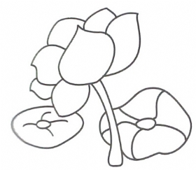 荷花简笔画