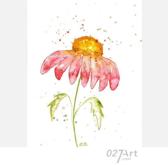 粉色雏菊花简单花卉水彩画图片分享儿童水彩画
