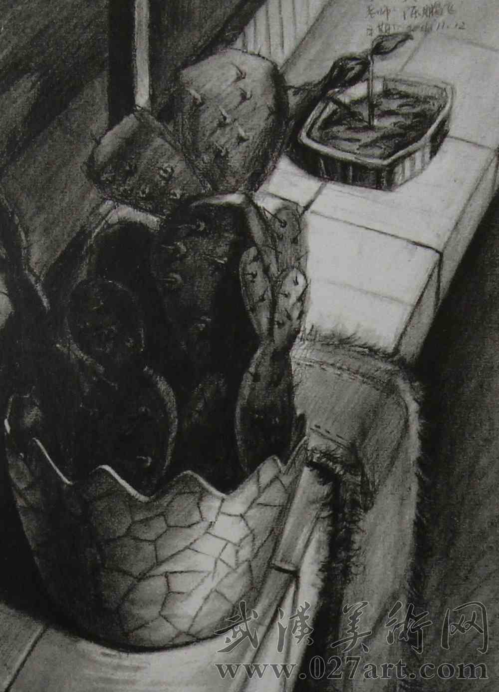 仙人掌创意素描图片,盆栽,窗台_设计素描_零二七艺考