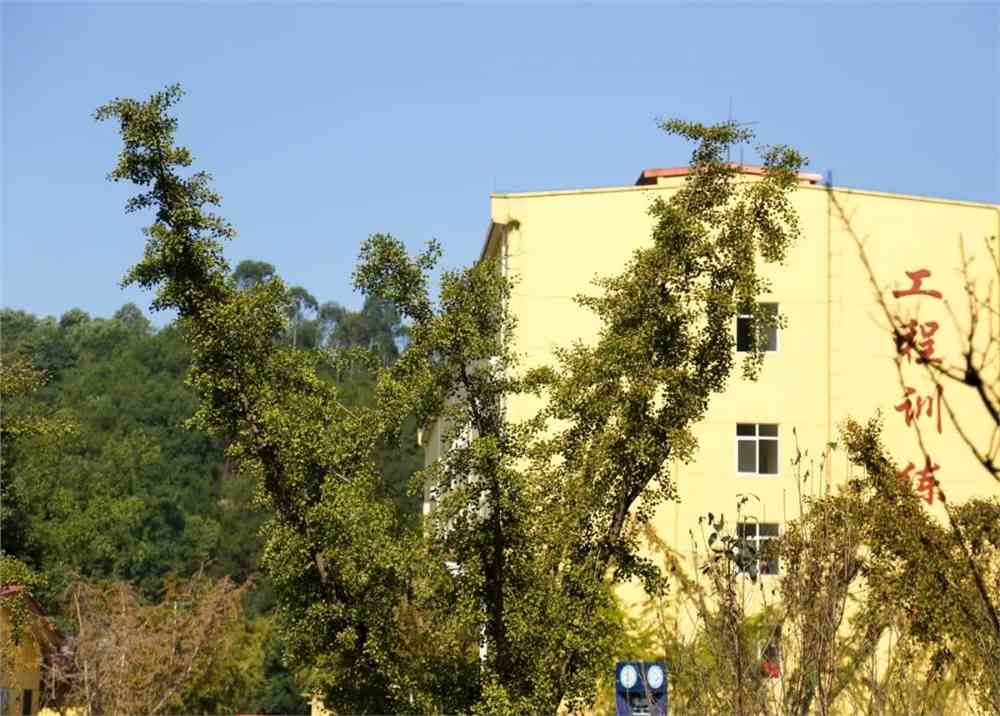 成都理工大学工程技术学院