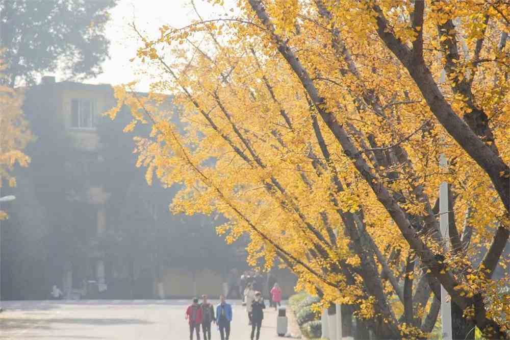 成都理工大学工程技术学院