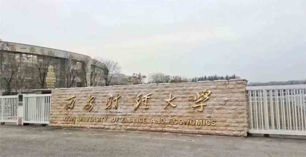 王全老师的艺考状元榜