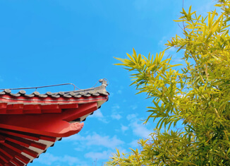 六安职业技术学院,高考录取查询