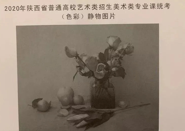 2020陕西美术考题