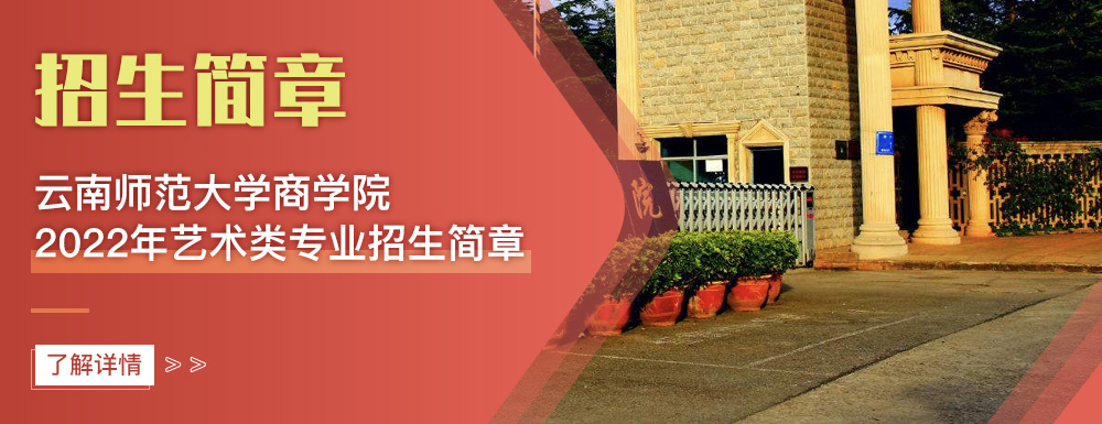 艺术类招生简章,云南师范大学商学院,艺考
