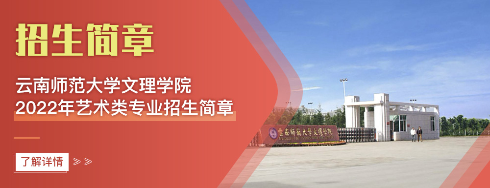 艺术类招生简章,云南师范大学文理学院,艺考