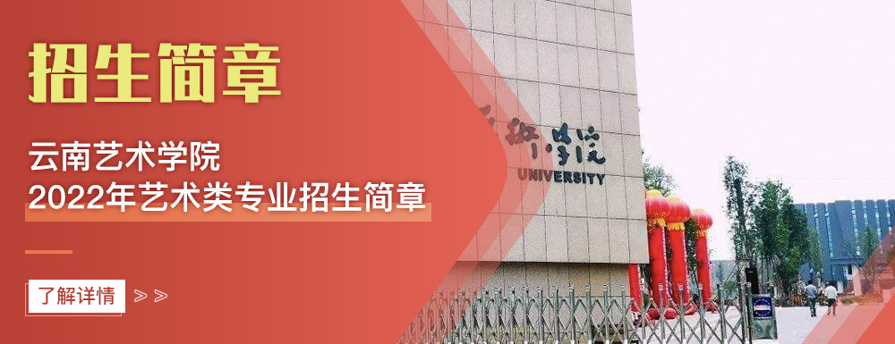 艺术类招生简章,云南艺术学院,艺考